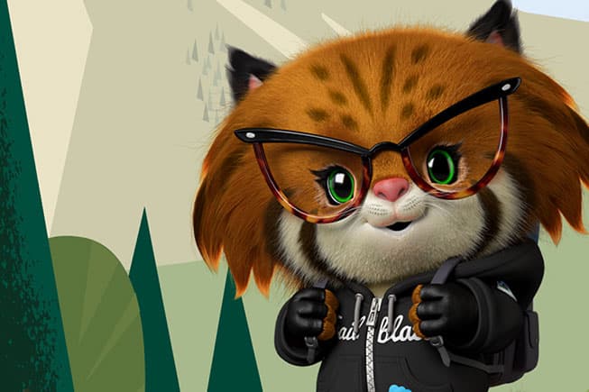 Find Your Salesforce Partner