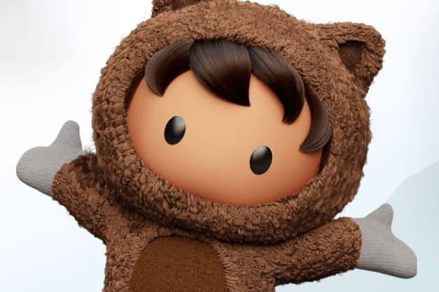 Salesforce Partner Community